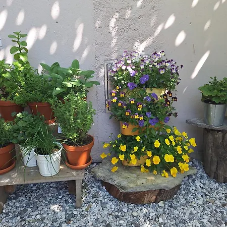 Hisa Odprtih Vrat Appartement *